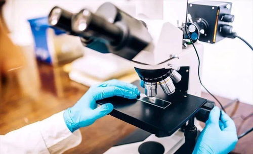 石墨炔 宽带饱和吸收与瞬态吸收特性的纳米材料新星